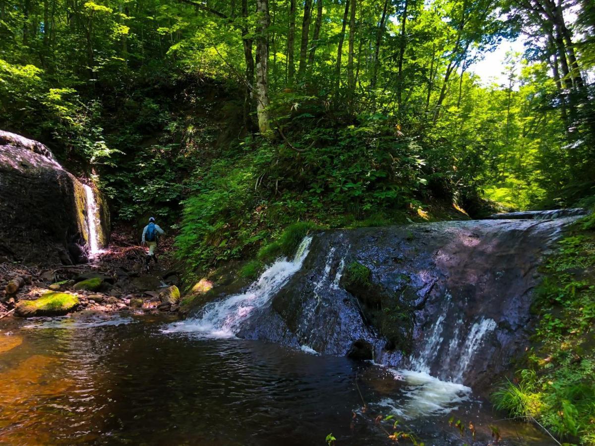 Mori No Bunkou Fuzawa - Vacation Stay 92943V Tadami ภายนอก รูปภาพ